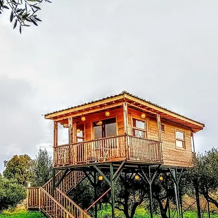 Апартаменты Magic Treehouse