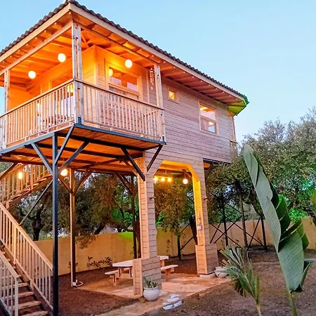 Magic Treehouse Закинтос