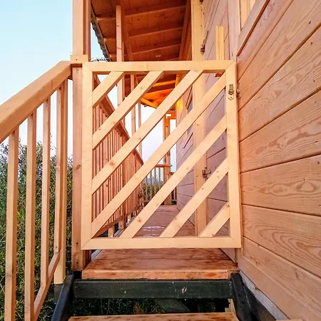 Magic Treehouse Закинтос
