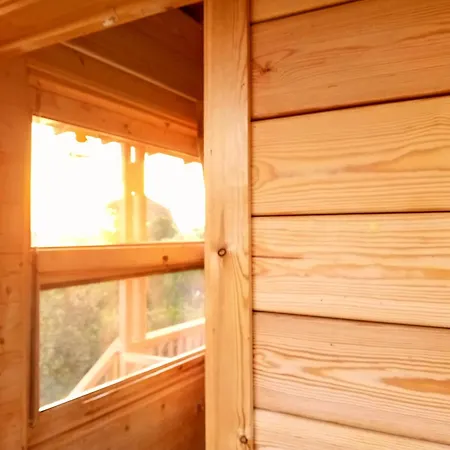 Magic Treehouse Закинтос
