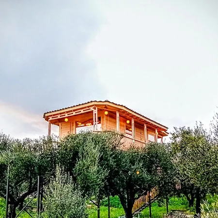 Magic Treehouse Lejlighed *