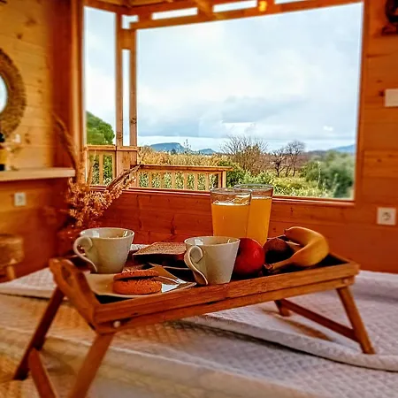 Magic Treehouse * Vokhaiko