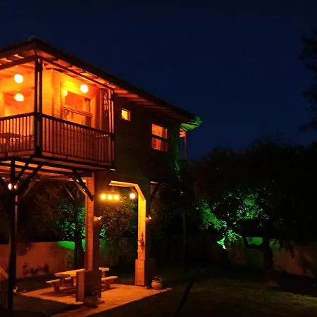 Magic Treehouse Lejlighed *