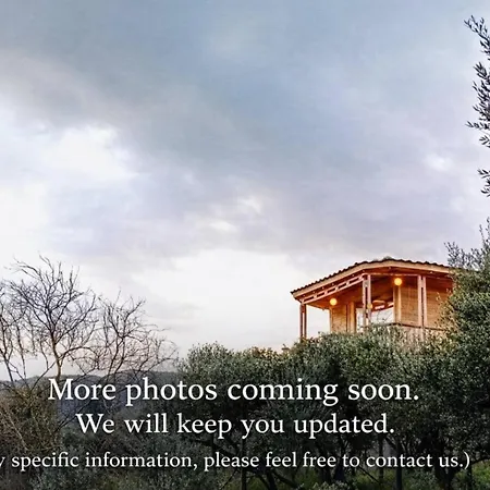 Magic Treehouse Apartman Zákinthosz
