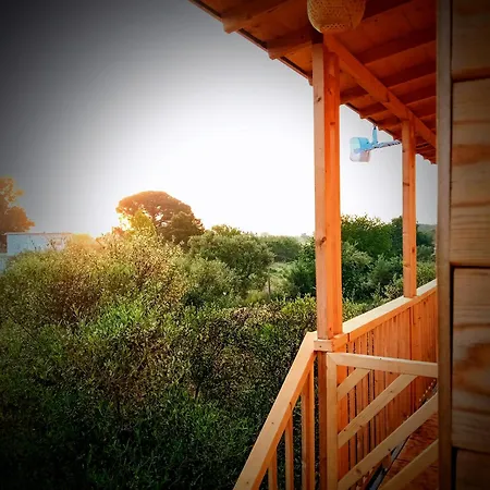 Appartamento Magic Treehouse Città di Zante